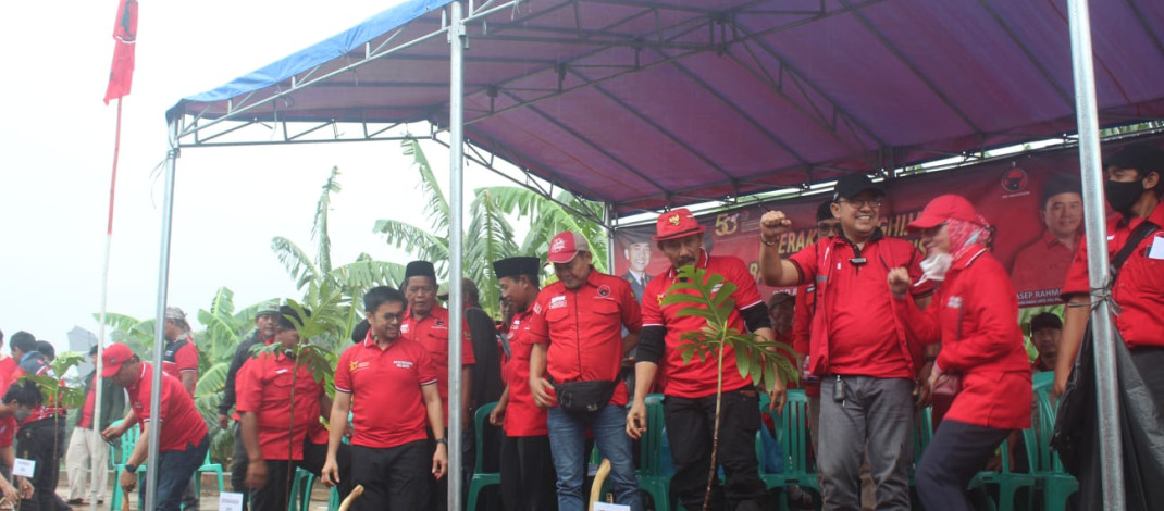 Peringati HUT Ke 50 Tahun, PDIP Banten Gelar Aksi Tanam Ratusan Pohon di Bantaran Sungai Cisadane