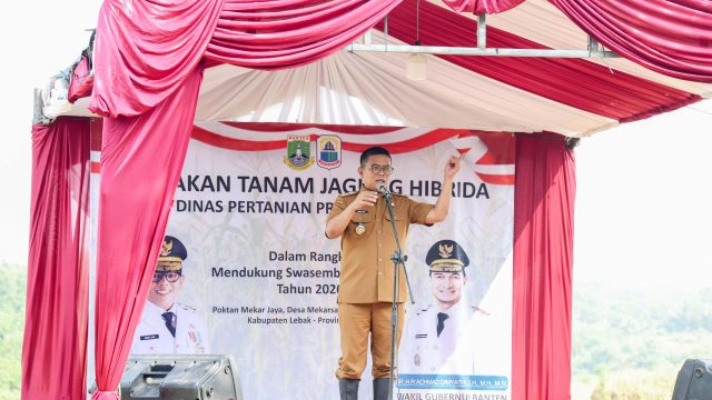 Gubernur Andra Soni Canangkan Gerakan Tanam Jagung untuk Ketahanan Pangan di Banten