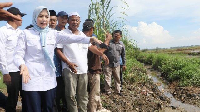 Pemkab Serang Akan Perbaiki Saluran Irigasi di Tirtayasa
