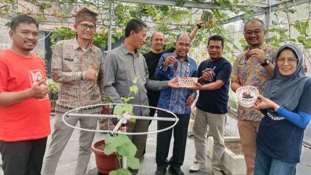 Pemda dan DPRD Banten Dorong Pengembangan Pertanian Anggur di Perkotaan