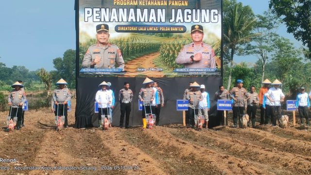 Dukung Ketahanan Pangan Nasional, Kapolda Banten Inisiasi Penanaman Jagung di Lahan Tidur Kabupaten Serang