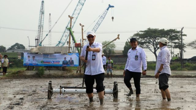 Hari Jadi ke-500 Kabupaten Serang, DKPP Tanam Padi 500 Hektare dan 500 Vaksinasi Hewan Ternak